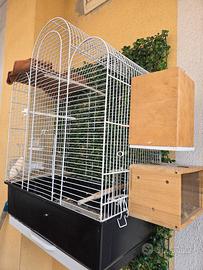 Gabbietta per pappagallini e accessori