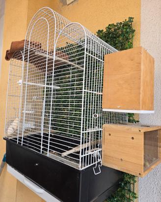 Gabbietta per pappagallini e accessori