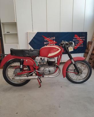 BIANCHI MENDOLA 125