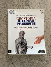 Libro Geostoria. Il lungo presente