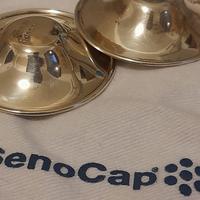 Paracapezzoli Argento Allattamento