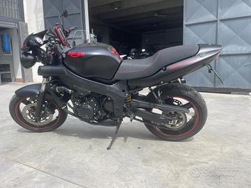 Baby spese 600 Triumph