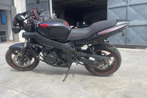 Baby spese 600 Triumph