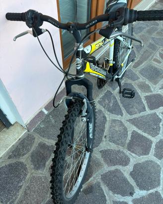 Bicicletta Mountain bike Carnielli Boy 24