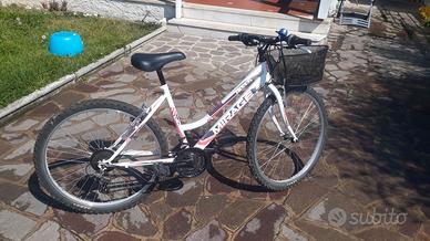 Bici donna 26