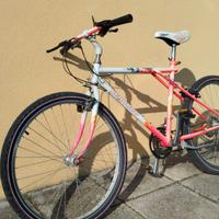 bici MTB Legnano 21v