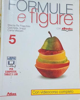 Libro scolastico Formule e figure Vol.5