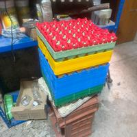 Contenitori uova da 30