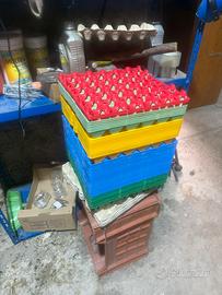 Contenitori uova da 30