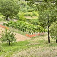 Esclusiva proprieta' agricola in montagna