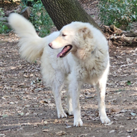 Evita 3/4anni tolta da 1lager SOS CASA ROMA