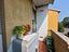 Immagine 7