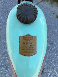 Bianchi aquilotto