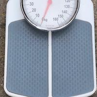 bilancia terrilon proffesional 