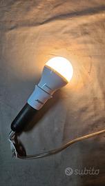 Lotto 2 Lampadine LED E27 Philips e Eurotechnic