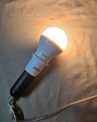 Lotto 2 Lampadine LED E27 Philips e Eurotechnic