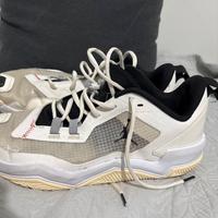 Scarpe jordan basket