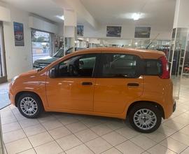 FIAT Panda 3ª serie - 2021