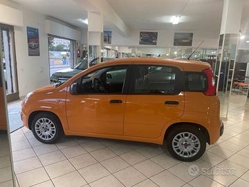 FIAT Panda 3ª serie - 2021