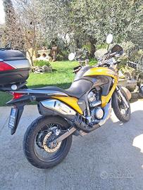 Honda transalp