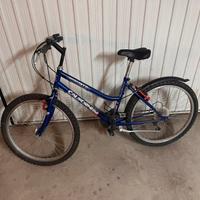 Bici gourette 24 mtb california