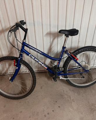 Bici gourette 24 mtb california