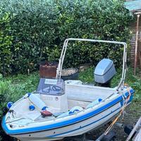 Roll bar barca gommone estensibile abattibile INOX