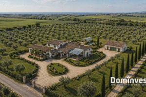 Rustico / Casale di 289 m² a Capalbio