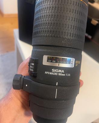 Sigma ef 180mm macro hsm is