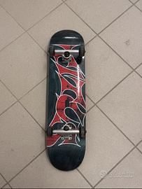 Skateboard Titus