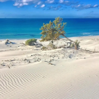 Casa Marinella Teulada climatizzata con giardino
