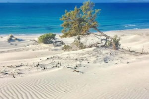 Casa Marinella Teulada climatizzata con giardino