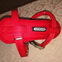 pettorina dognes mini 