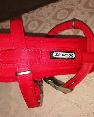 pettorina dognes mini 
