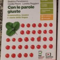 Con le parole giuste