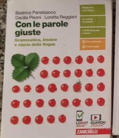 Con le parole giuste