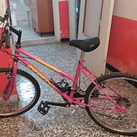 Bicicletta Mountain Bike