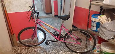 Bicicletta Mountain Bike
