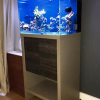 Acquario marino completo