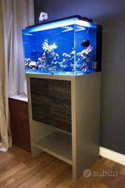Acquario marino completo