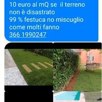 prato pronto e costruzione aree verdi