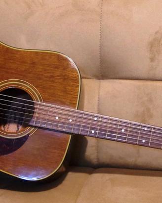 Fender Newporter Chitarra acustica.