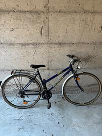 Bicicletta citybike donna