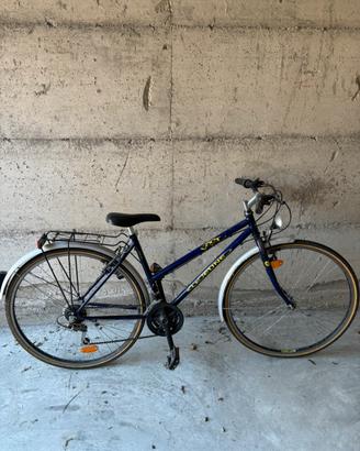 Bicicletta citybike donna