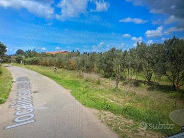 Terreno agricolo Assemini