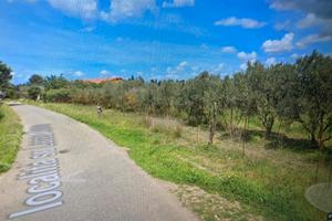 Terreno agricolo Assemini