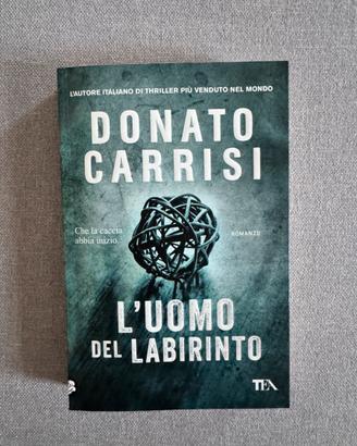 L’uomo del labirinto - Donato Carrisi