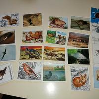 Figurine animali miste in blocco