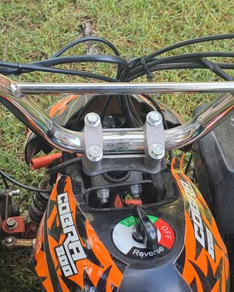 Quad per bambini