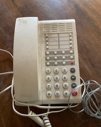 Cito telefono